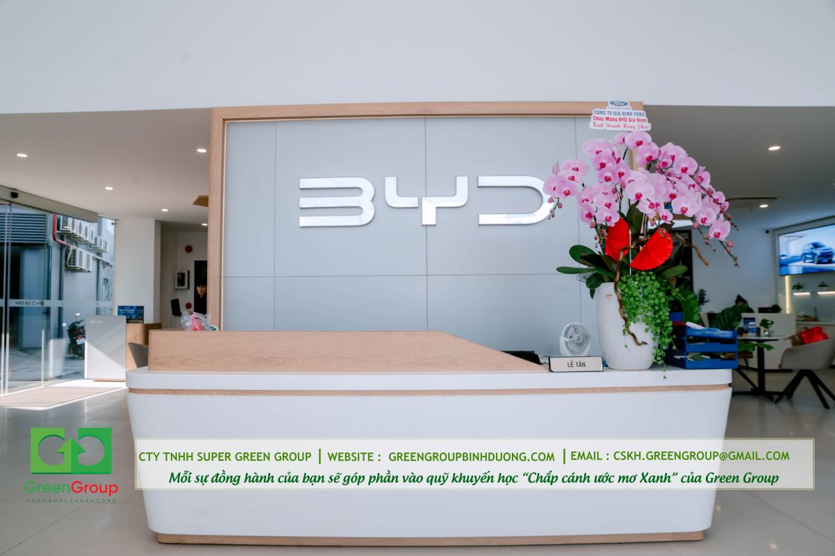 bên trong hãng xe điện byd gia định