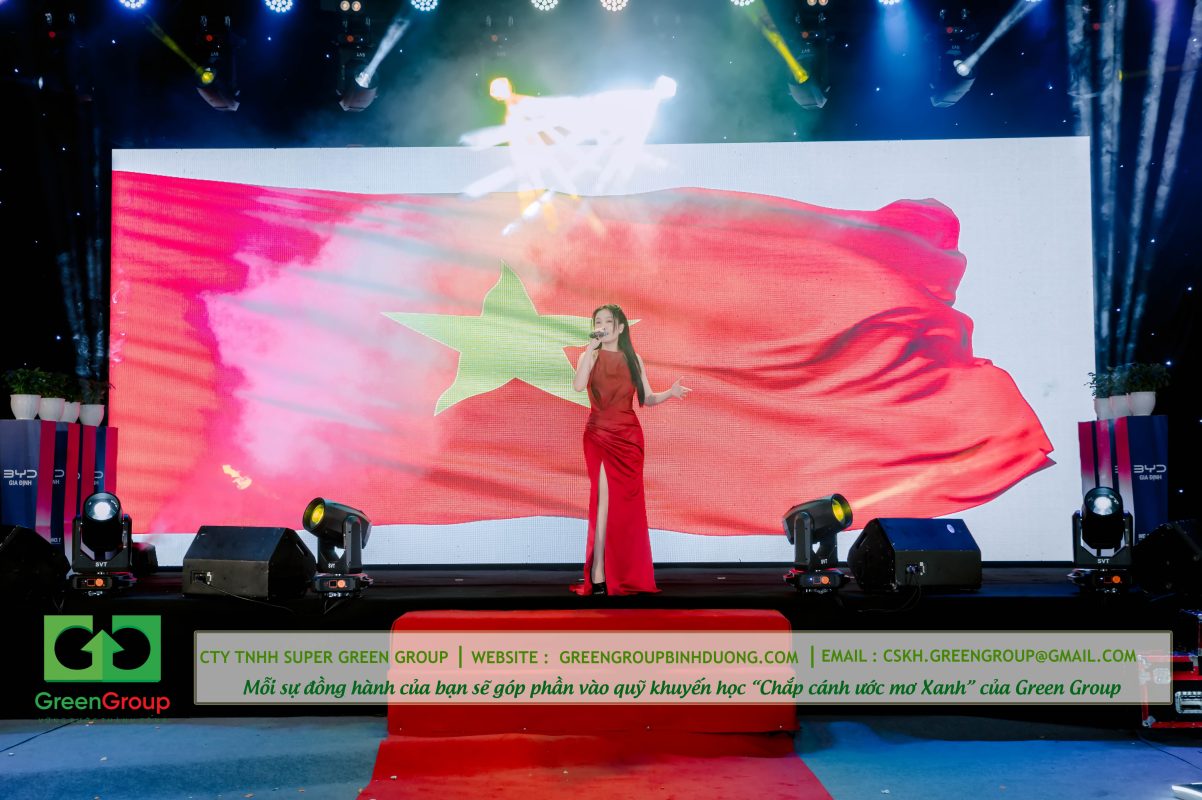 ca sĩ biểu diễn